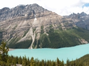 panorama peyto lake