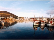 Haven Husavik