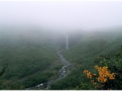 Svartifoss waterval in de mist