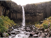 Svartifoss waterval in de mist