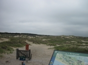 Duinen nabij Wassenaar, bijna thuis.