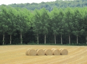 Onderweg