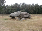 Hunebed in boswachterij Emmen