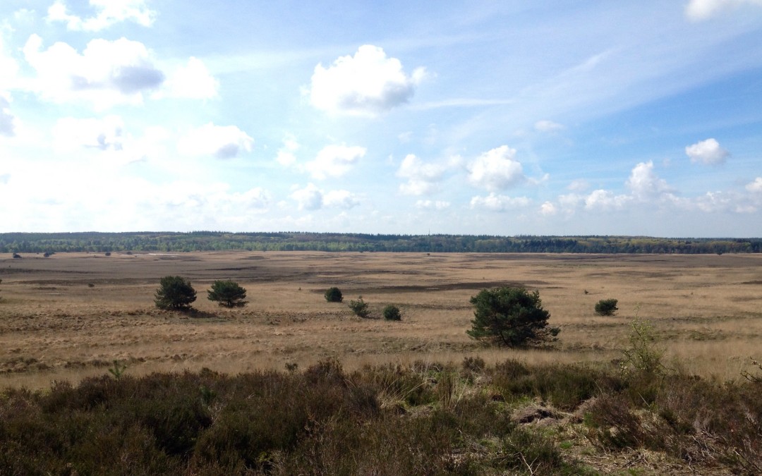 Wandelen in Kroondomein