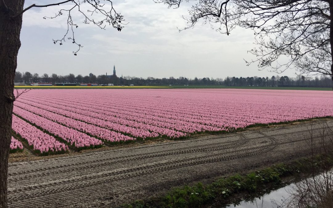 Hollen door de Bollen wandeltocht