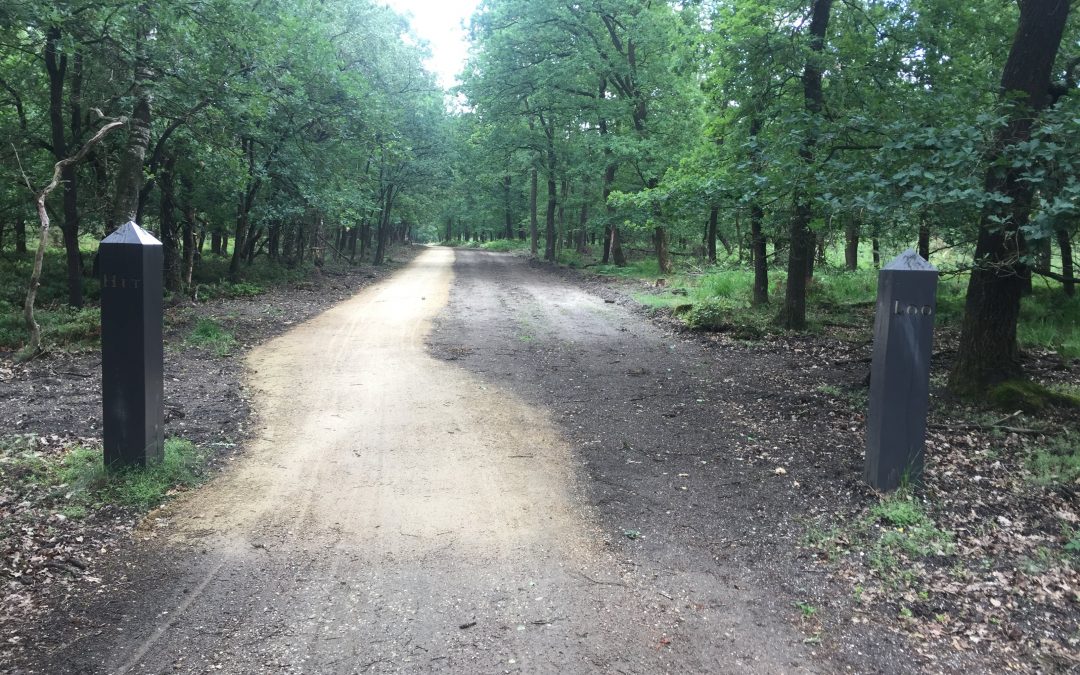 Wandelen in Kroondomein Het Loo