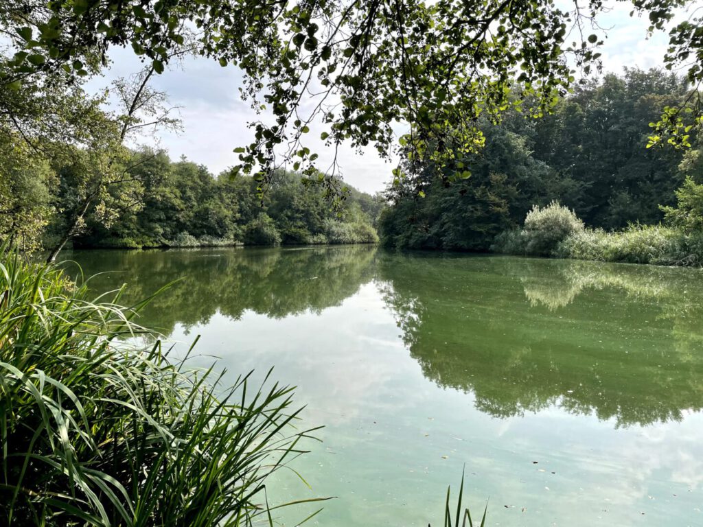 Uitzicht op een van de vijvers in het landgoed