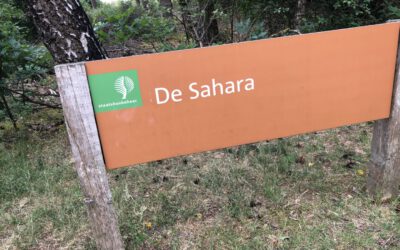 Sahara – Ommen