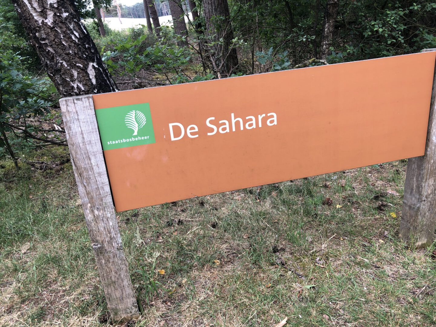 WANDELEN DOOR DE SAHARA IN OMMEN visual data 4