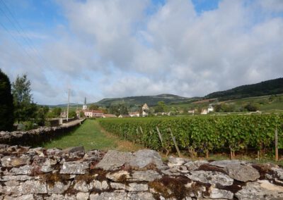 Uitzicht op Santenay