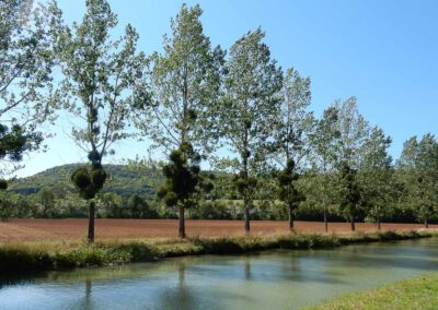 Langs Canal de Bourgogne