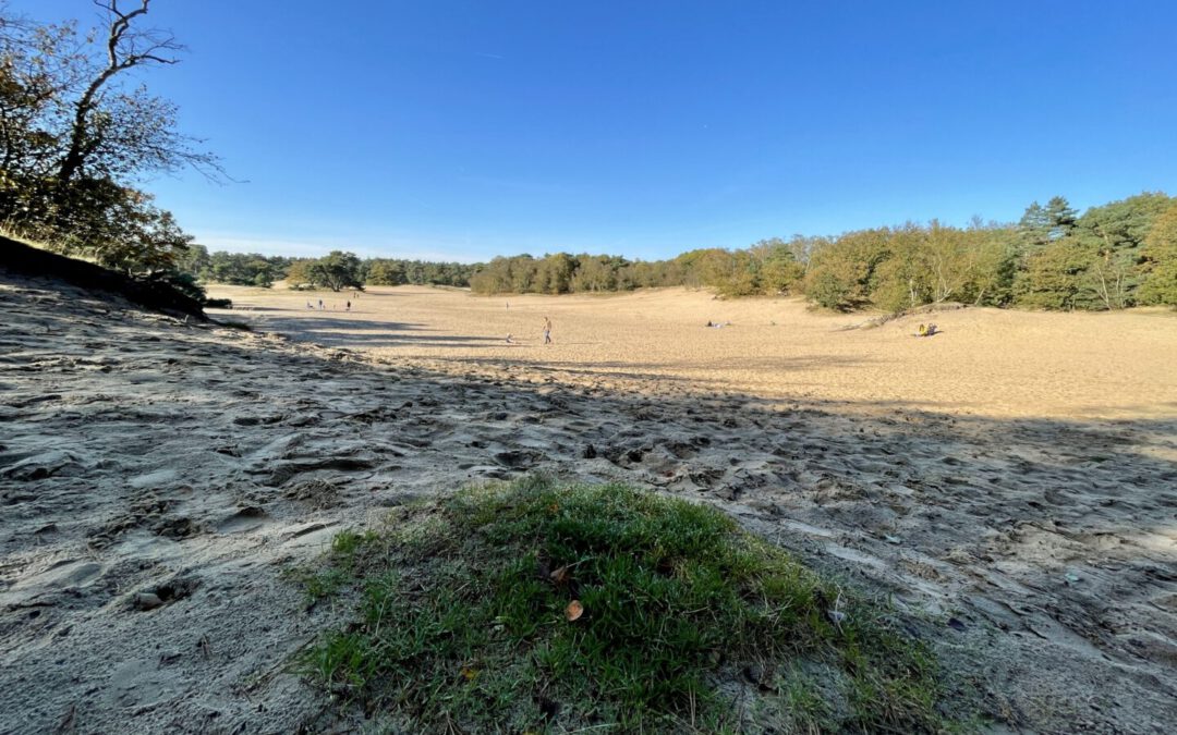 Natuurpad “Korte Duinen”