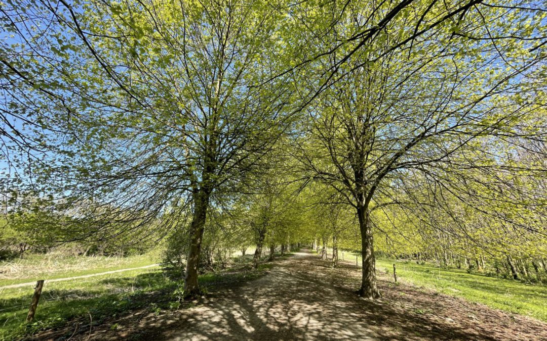 Rondje Broekpolder