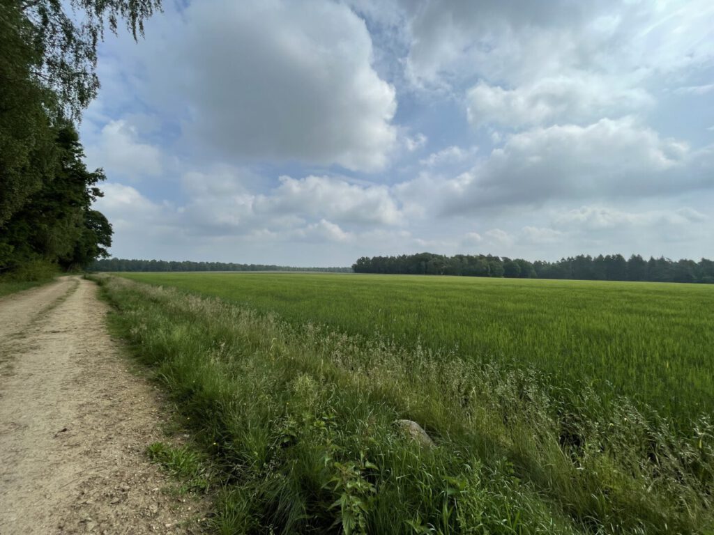 Uitzicht over de velden