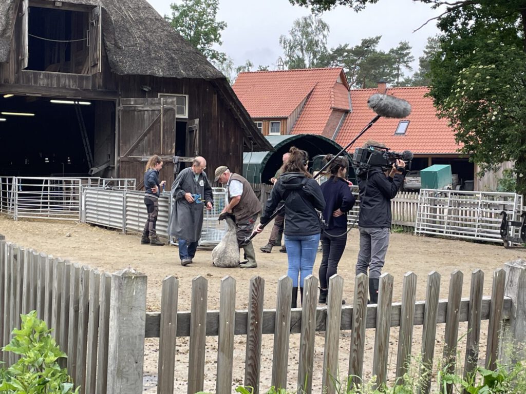 De filmploeg aan het werk.
