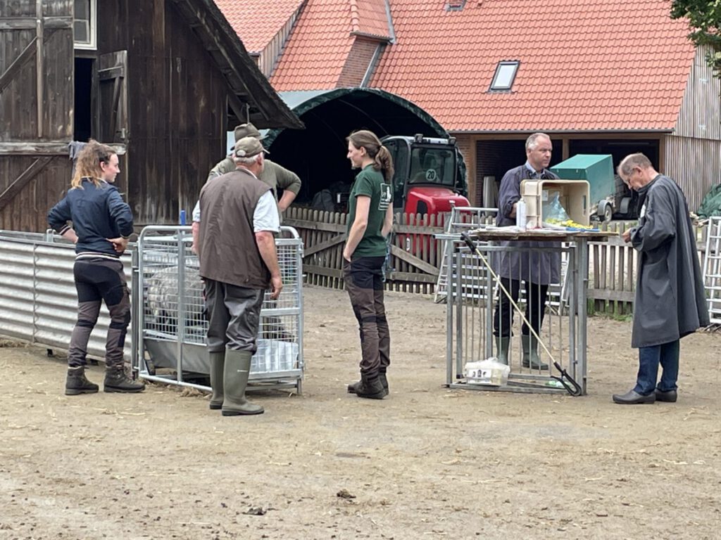 Overleg bij het plaatsen van het oormerk