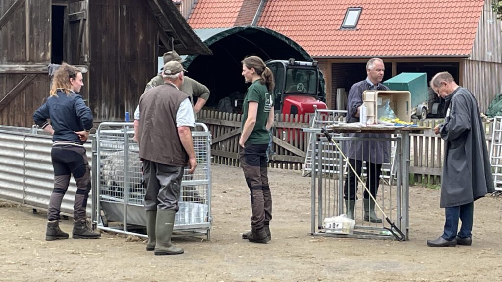 Overleg bij het plaatsen van het oormerk