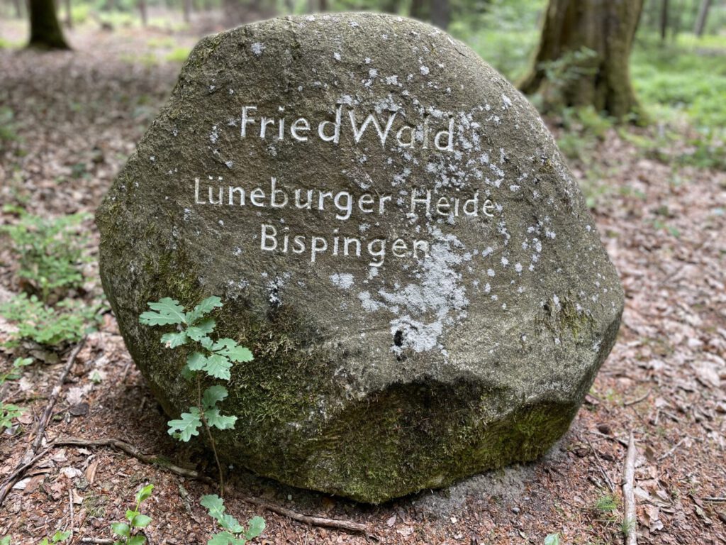 Friedwald