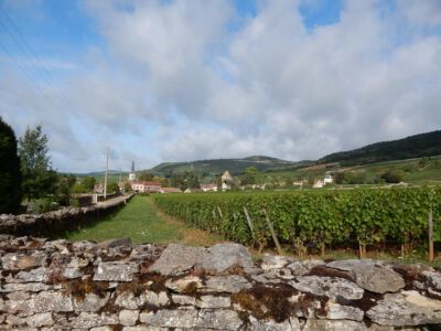 Uitzicht op Santenay