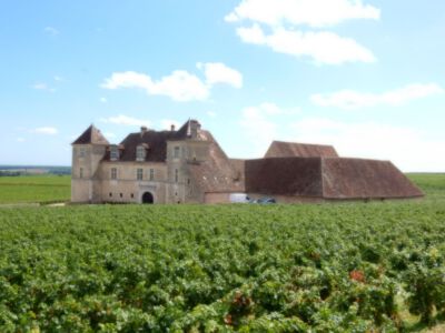Wijn Chateau midden tussen de druiven