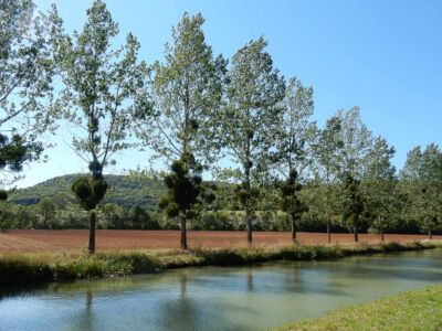 Langs Canal de Bourgogne